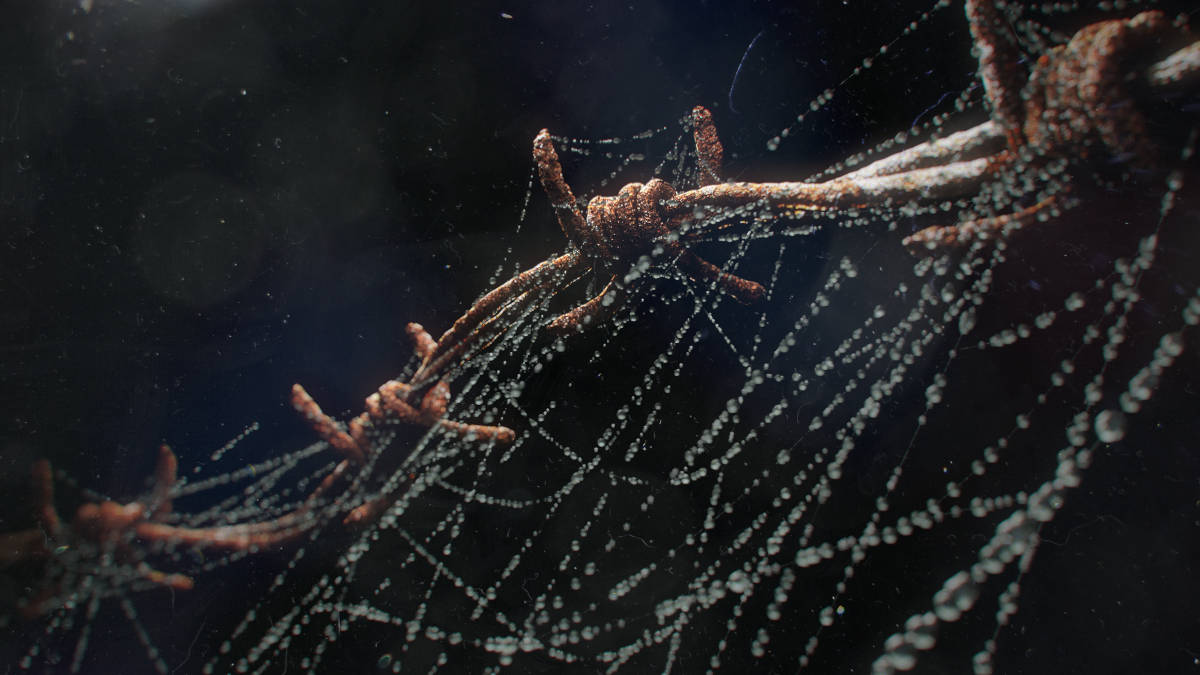 Cobwebs - 3ds Max скрипт за създаване на паяжини